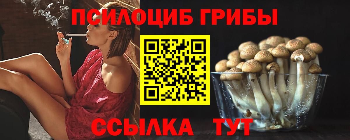 Красноперекопск  Псилоцибиновые грибы мухоморы  Вход с VPN  Псилоцибиновые грибы GOLDEN TEACHER 