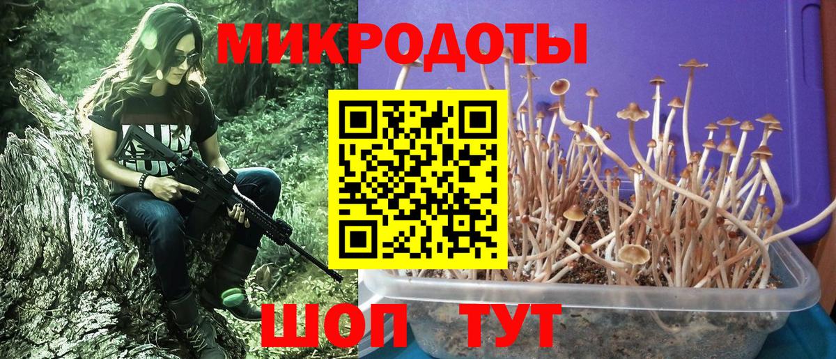 Псилоцибиновые грибы Cubensis Красноперекопск